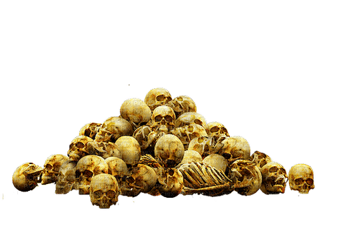 skulls - png gratis