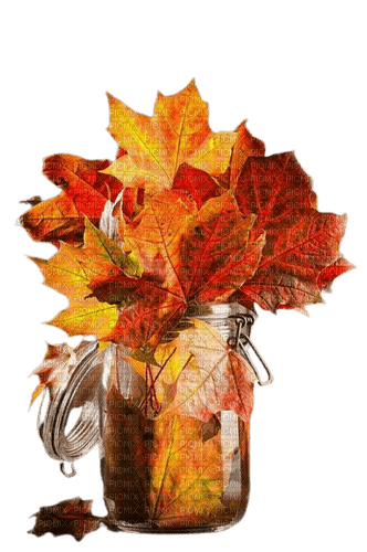 fall autumn leaves leaf - PNG gratuit
