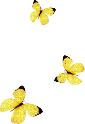 papillon jaune.Cheyenne63 - PNG gratuit