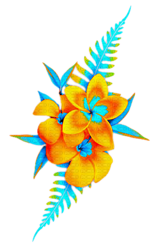 Flowers.Orange.Blue - darmowe png