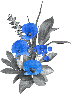 soave deco flowers branch animated poppy - Nemokamas animacinis gif
