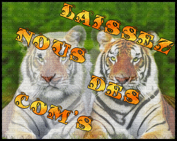 Tigres - Gratis animeret GIF