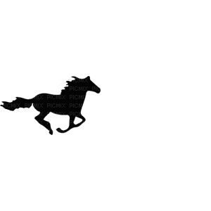 horse. horses bp - Gratis animerad GIF