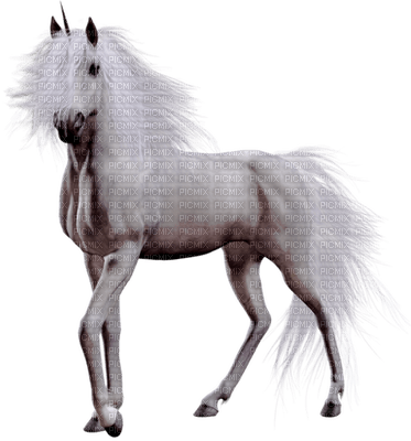 unicorn by nataliplus - zadarmo png