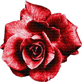 Glitter.Rose.Red - PNG gratuit