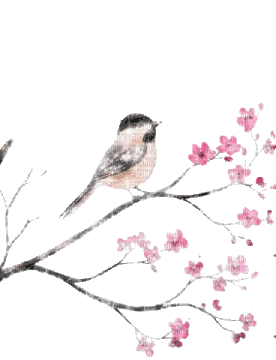 spring flowers - Bezmaksas animēts GIF