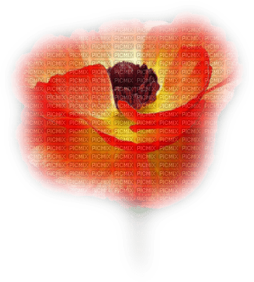 Kwiat maki - Free PNG