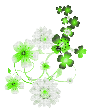 soave deco branch animated spring flowers patrick - GIF animate gratis