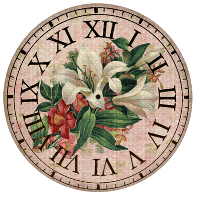 patymirabelle horloge fleur - Free PNG