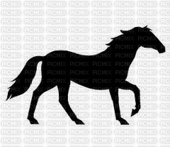 Silhouette Black Running Horse - Free animated GIF