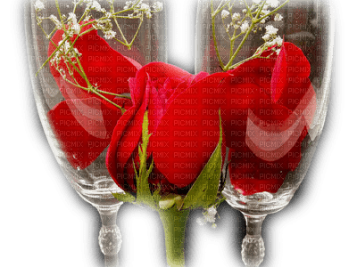 patymirabelle fleurs,rose rouge - Free PNG