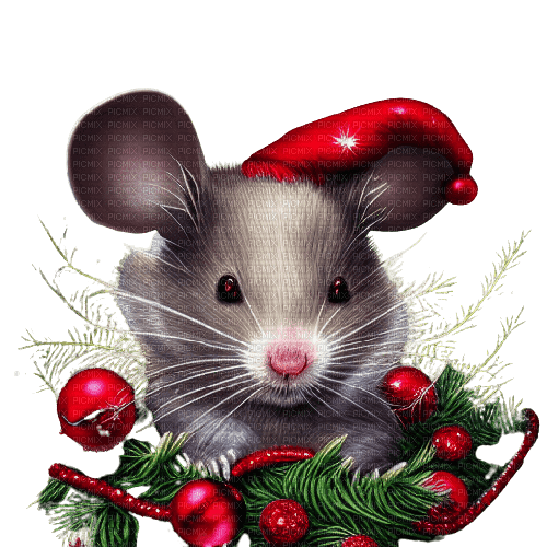Mouse Christmas - Bogusia - gratis png