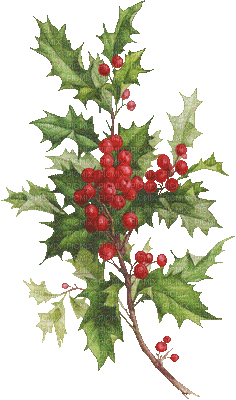 Christmas.Noël.Branch.Branche.Deco.Victoriabea - GIF animé gratuit