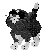Petz Black and White Shorthair - Free PNG