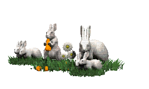 rabbits - Ilmainen animoitu GIF