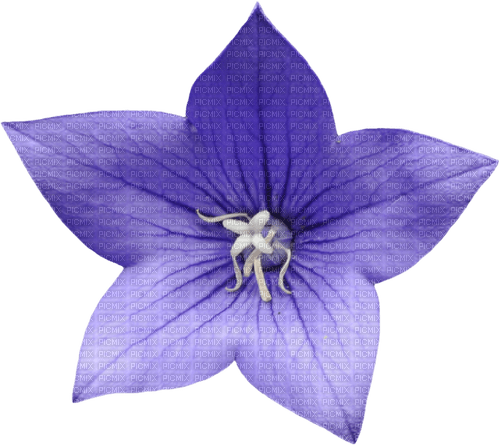 dolceluna blue flower - darmowe png