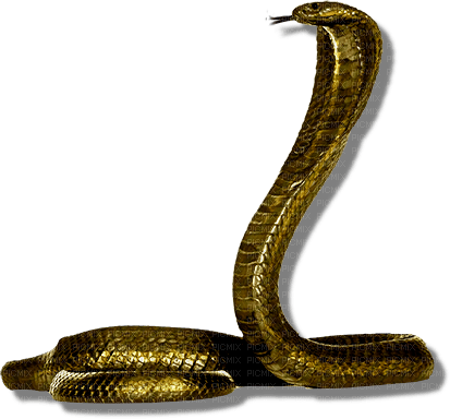 Snake.Serpent.Gold.Cleopatra.Victoriabea - PNG gratuit