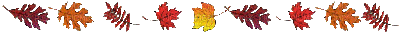FEUILLES - Free animated GIF