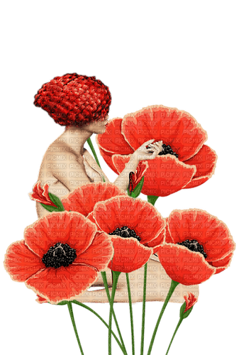loly33 femme coquelicot - zdarma png