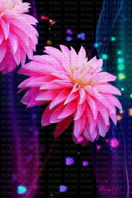 fleurs - GIF animado grátis