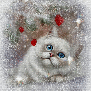 зима, кот, Karina10rus - 無料のアニメーション GIF