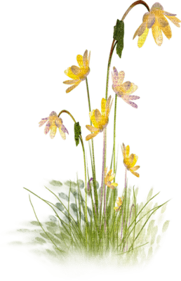 fleur jaune.Cheyenne63 - nemokama png