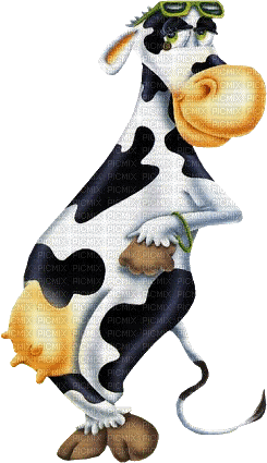 cow kuh rind vache farm animal animaux fun tube kawaii mignon summer ete - Бесплатный анимированный гифка