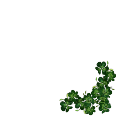 clover - Free PNG