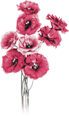 soave deco poppy branch spring flowers - 無料png