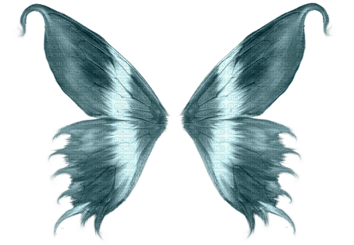 flügel wings - бесплатно png