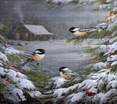 Kaz_Creations Backgrounds Background Winter Birds - PNG gratuit