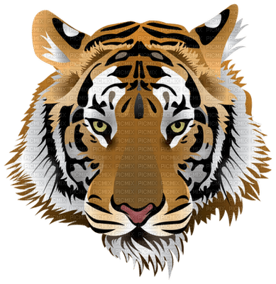 tiger - bezmaksas png