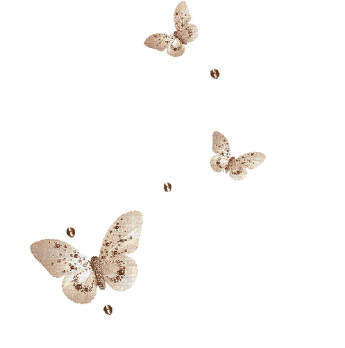 kikkapink  butterflies butterfly fantasy sepia - png gratis