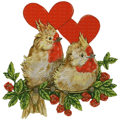 Kaz_Creations Deco Valentine Heart Love Birds - PNG gratuit