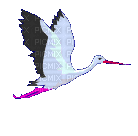 gif oiseau - Бесплатный анимированный гифка