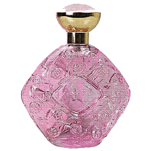 perfume dm19 - zdarma png