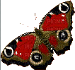 red butterfly - GIF animado gratis