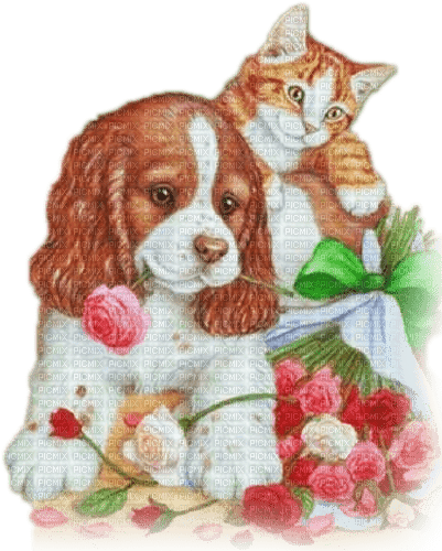 soave dog cat animals friends flowers pink - фрее пнг