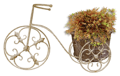 bicycle anastasia - δωρεάν png