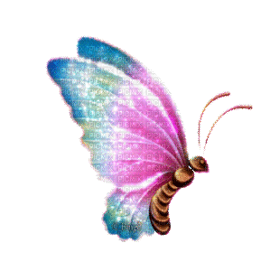 Y.A.M._Fantasy butterfly - Gratis geanimeerde GIF