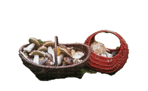 Mushroom basket - png ฟรี