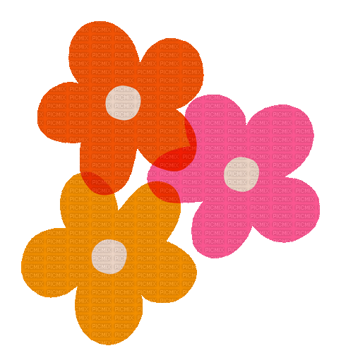 bib flower - GIF animé gratuit