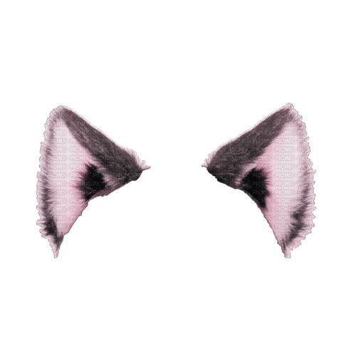 Cat Ears ♫{By iskra.filcheva}♫ - zadarmo png