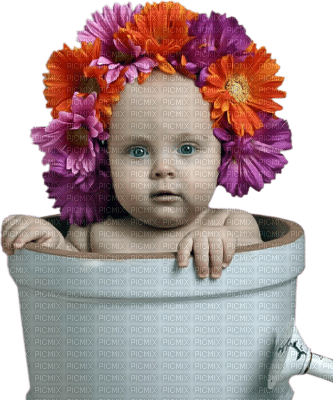 dolceluna baby spring child summer  flowers - Free PNG