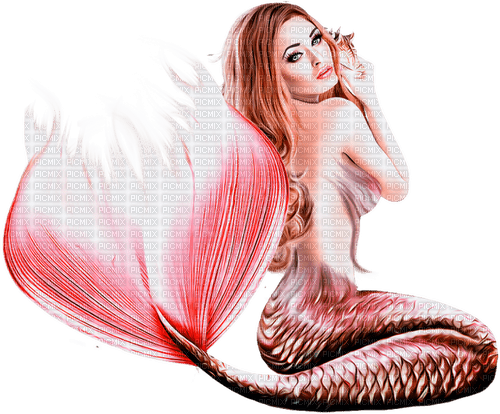 mermaid milla1959 - png ฟรี