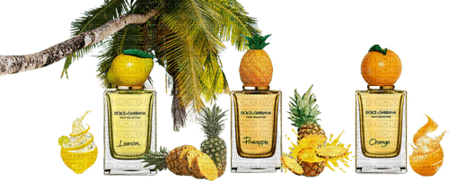 Dolce Gabbana Fruit Collection  Perfume - Bogusia - ücretsiz png