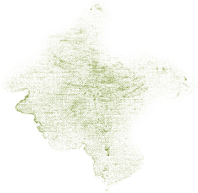 green overlay - png grátis