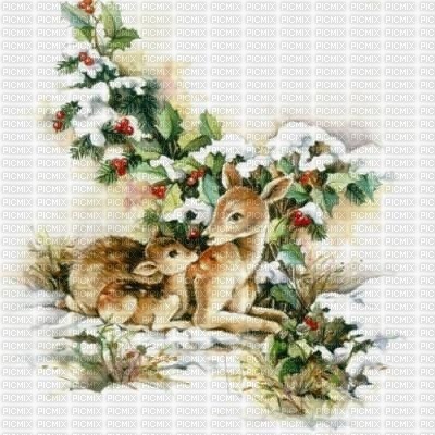 Mama and Baby Deer - Free PNG