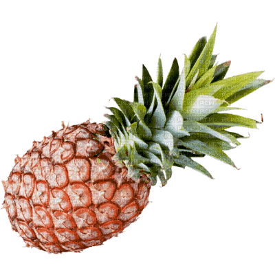 ♡§m3§♡ 8fra kawaii fruit pineapple animated - Gratis geanimeerde GIF