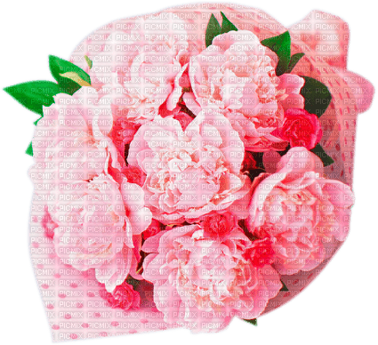 Y.A.M._Flowers bouquets - png ฟรี